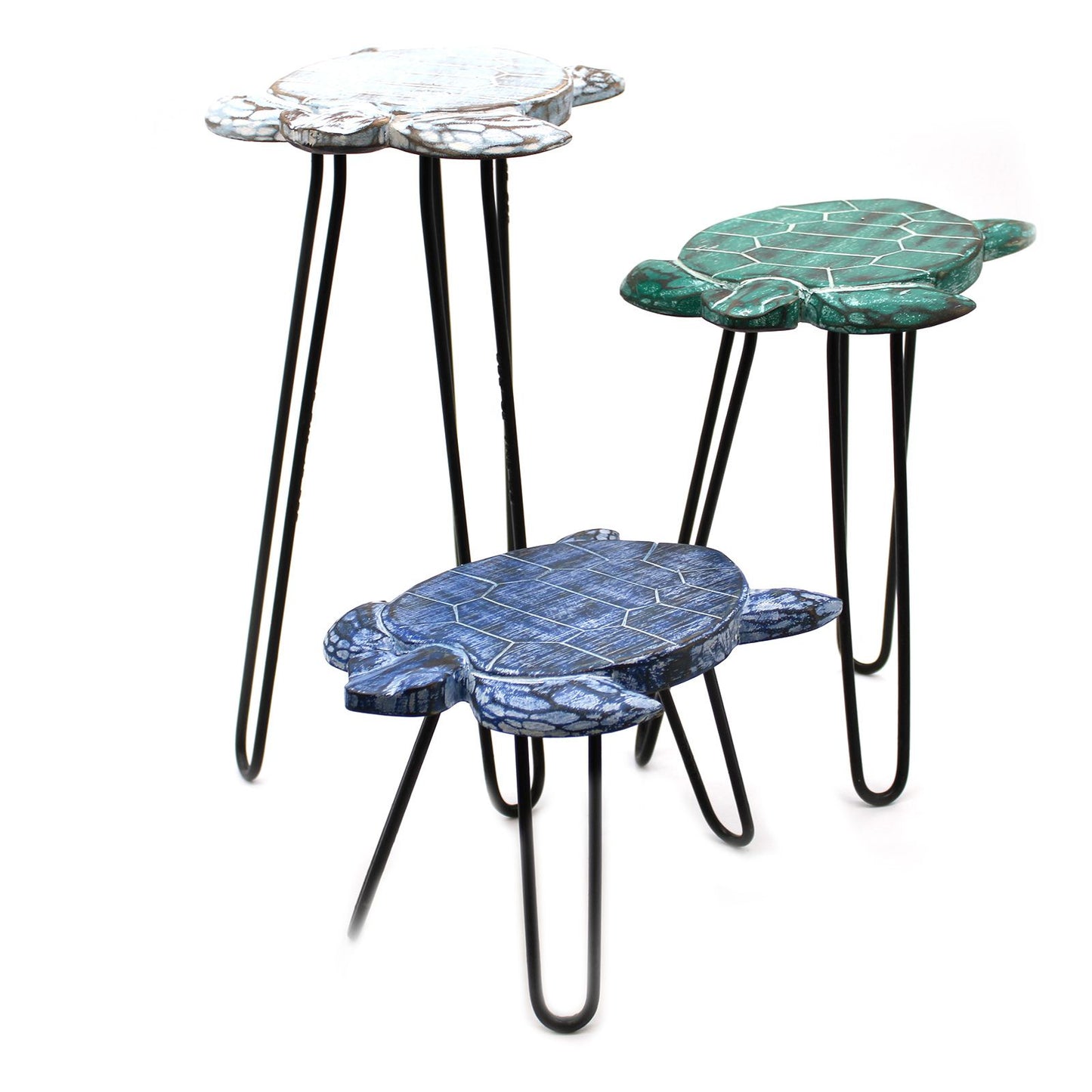 Trio of hand-carved turtle design Albasia wood plant stands with black metal hairpin legs in varying heights.