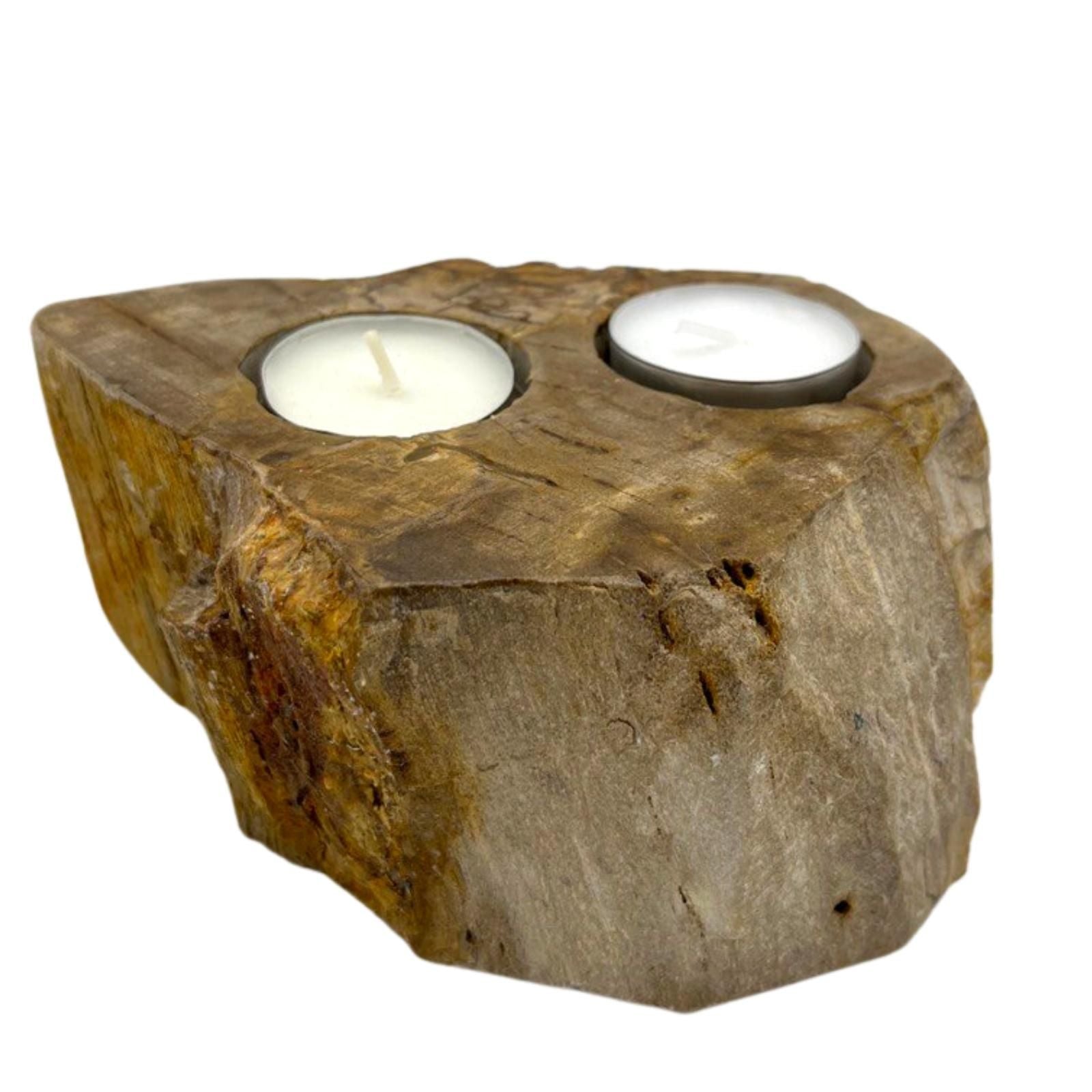 Hand-carved double candle holder made from natural petrified wood with a rustic, earthy texture and polished finish.