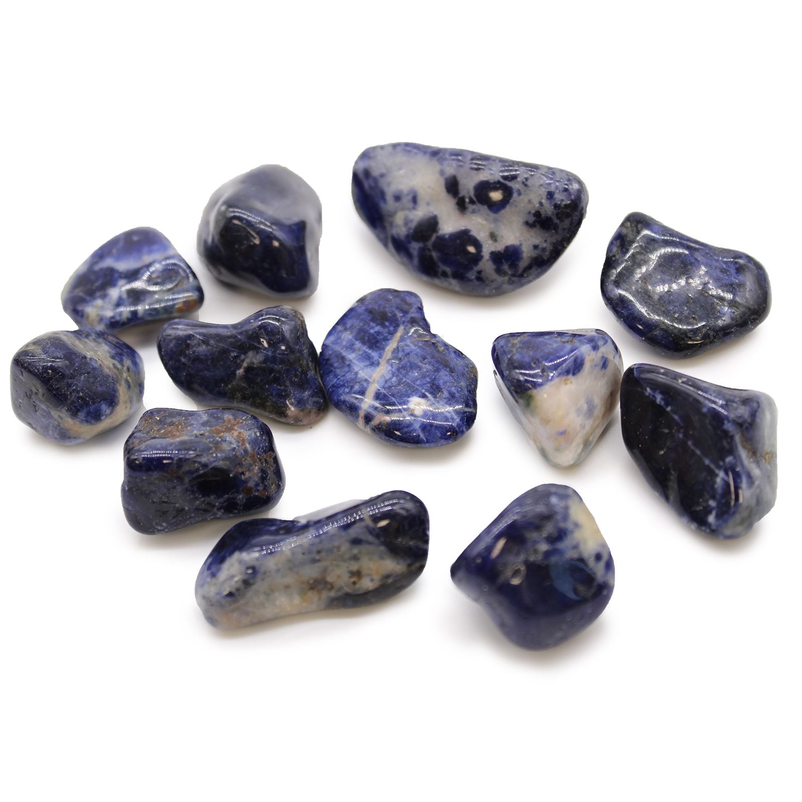 Single smooth, polished medium-sized sodalite tumble stone showing rich dark blue and white marbled patterns.