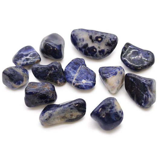 Single smooth, polished medium-sized sodalite tumble stone showing rich dark blue and white marbled patterns.