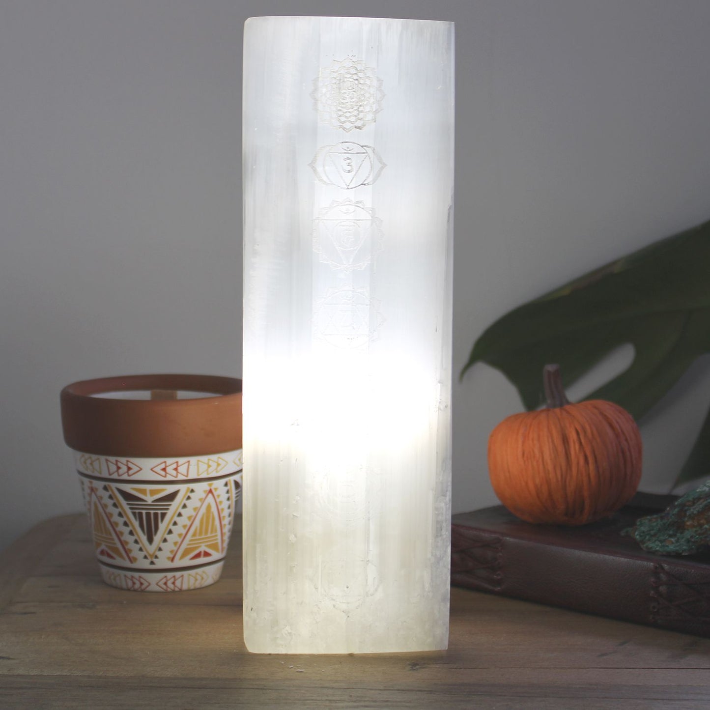Large hand-carved selenite block lamp with a natural crystalline texture standing 25cm tall on a wooden base.