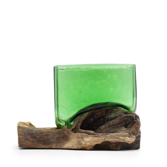 Unique square decorative bowl made from recycled green glass melted over a natural driftwood base.