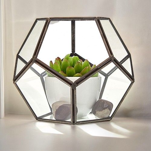 Large octagonal glass terrarium with a gold brass frame designed for indoor plants and succulents.