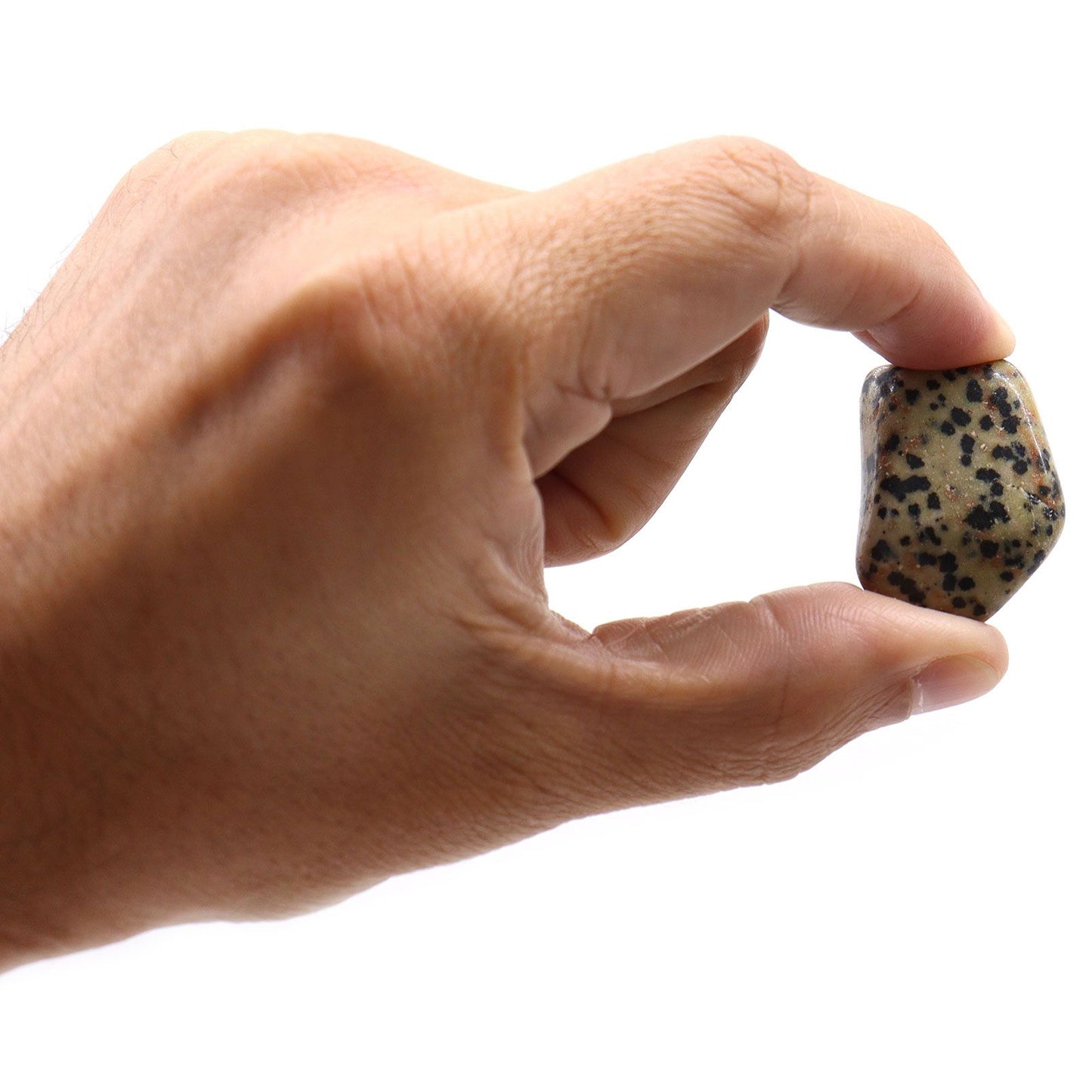 Large polished Dalmatian Jasper tumble stone featuring distinctive black spots on a cream-coloured background.