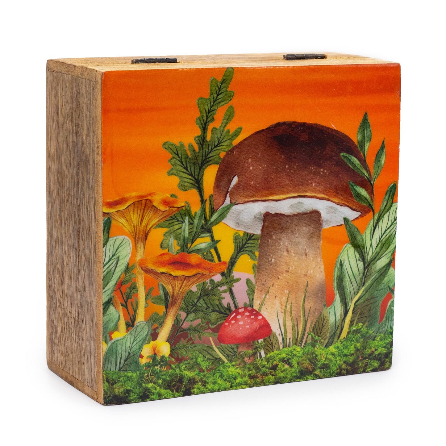 Large square maroon enamelled storage box featuring a detailed white mushroom and botanical design on the lid.