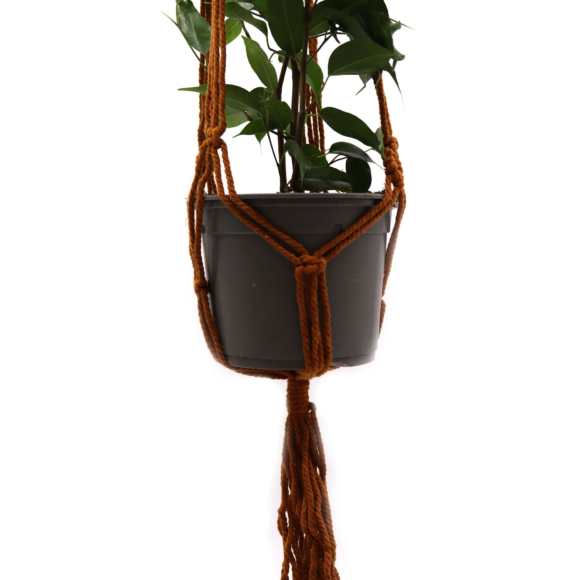 Handcrafted chocolate brown macrame plant hanger with intricate knotted patterns holding a ceramic pot.